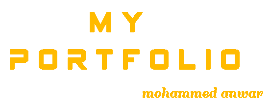 portfolio-logo-mohammedanwar